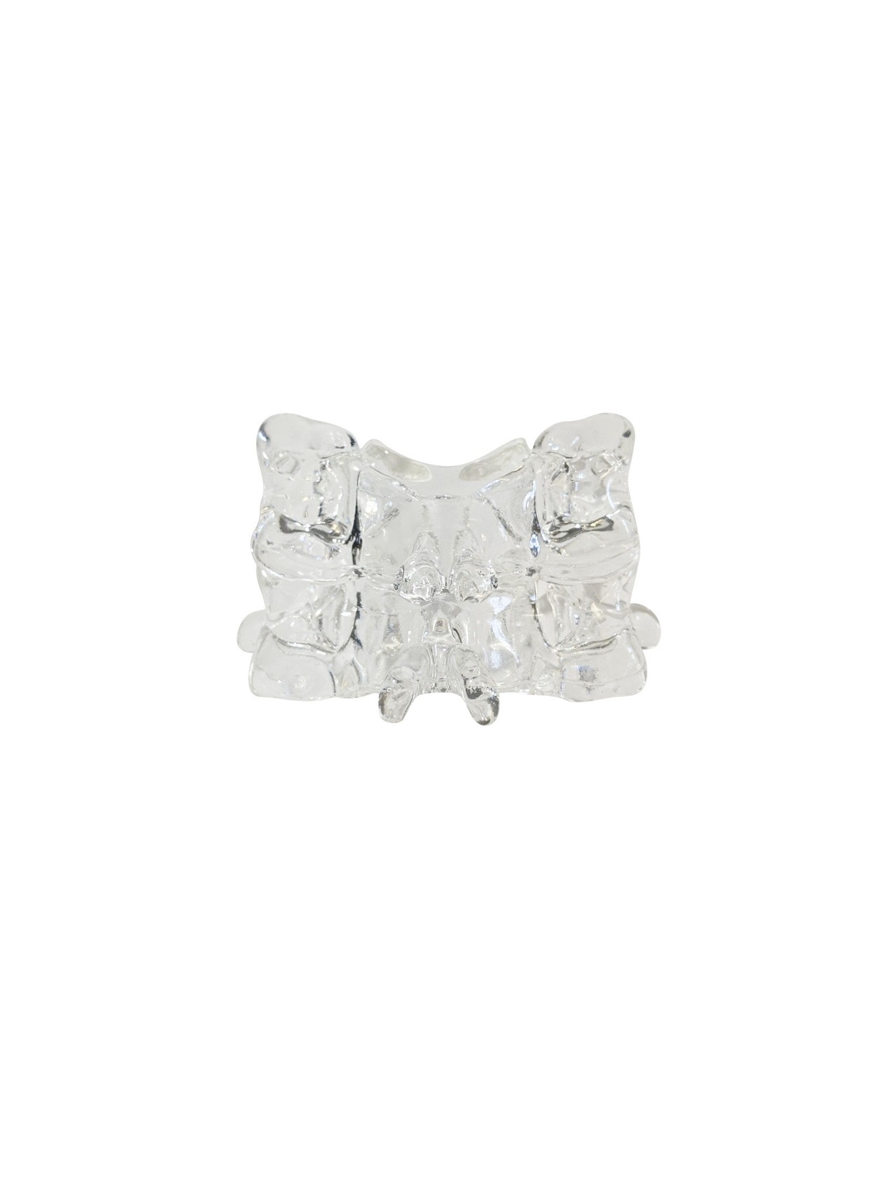 FlexBone Training Model - Cervical Spine, C5 to C6