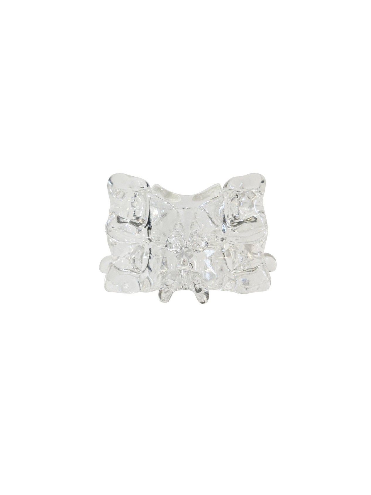 FlexBone Training Model - Cervical Spine, C5 to C6