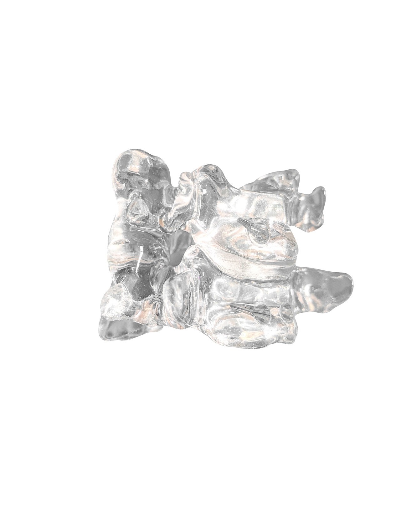 FlexBone Training Model - Cervical Spine, C5 to C6, Removable Disc