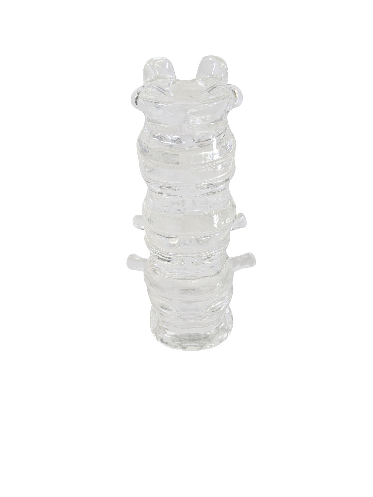 FlexBone Training Model - Thoracic and Lumbar Spine, T11 to L2