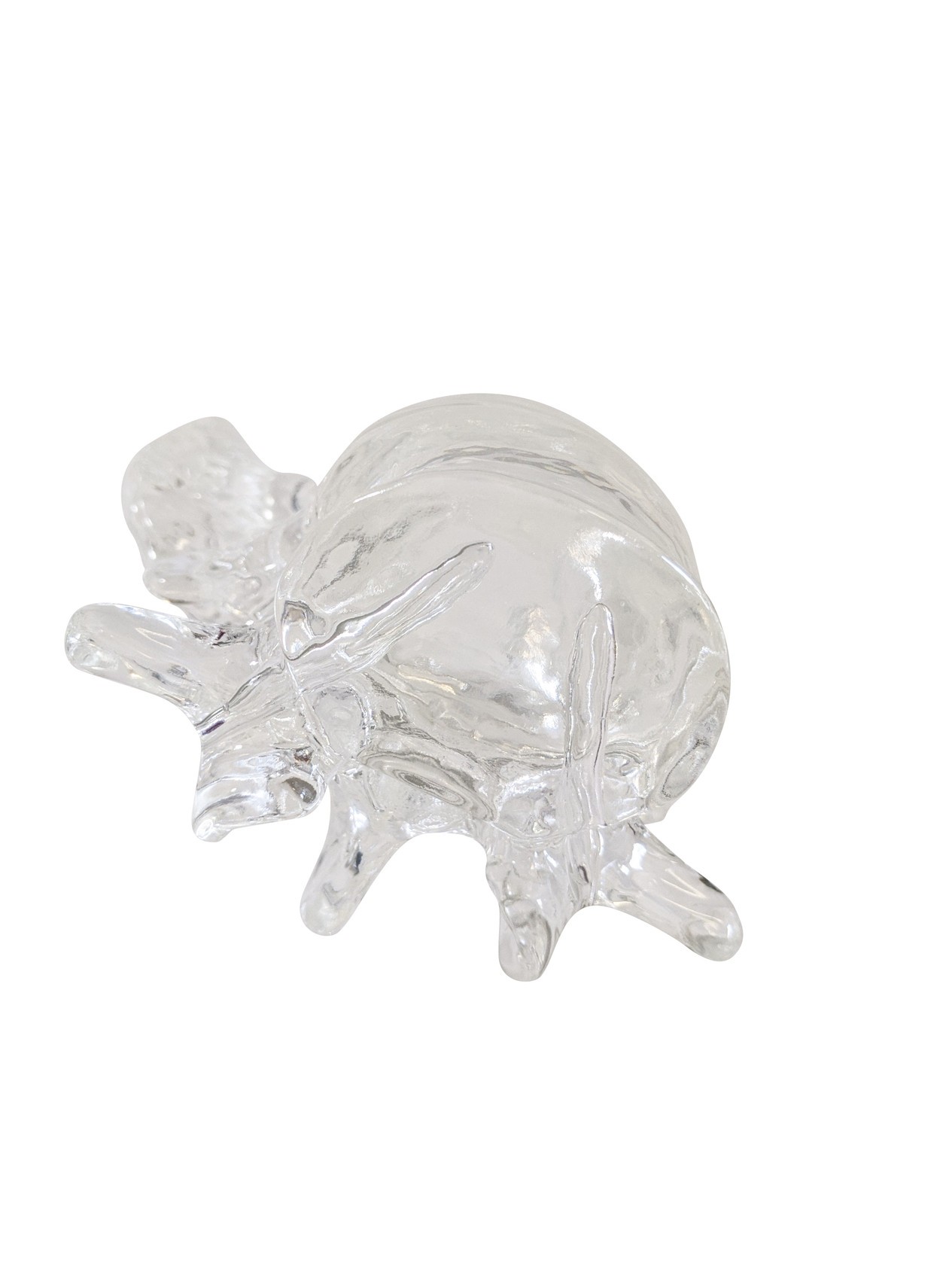 FlexBone Training Model - Lumbar Spine, L4 to Sacrum