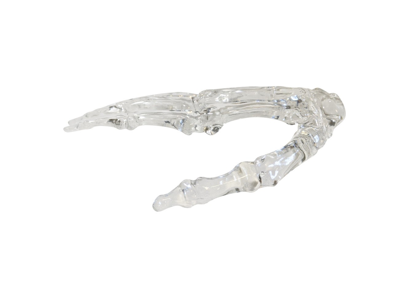 FlexBone Traning Model - Full Hand with Carpals