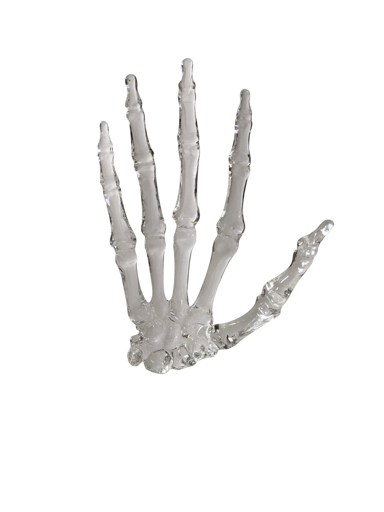 FlexBone Traning Model - Full Hand with Carpals