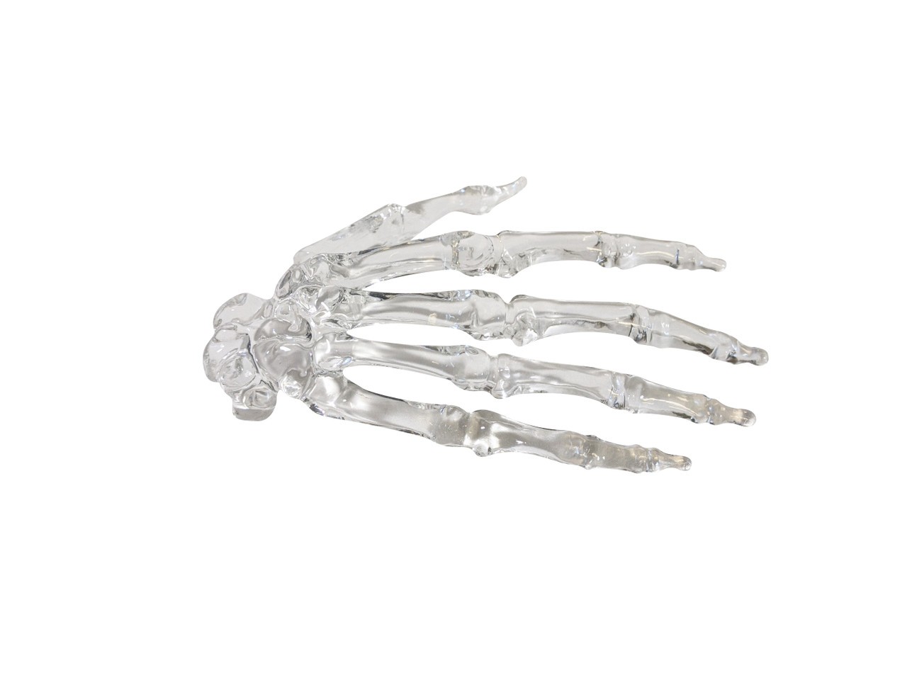 FlexBone Traning Model - Full Hand with Carpals