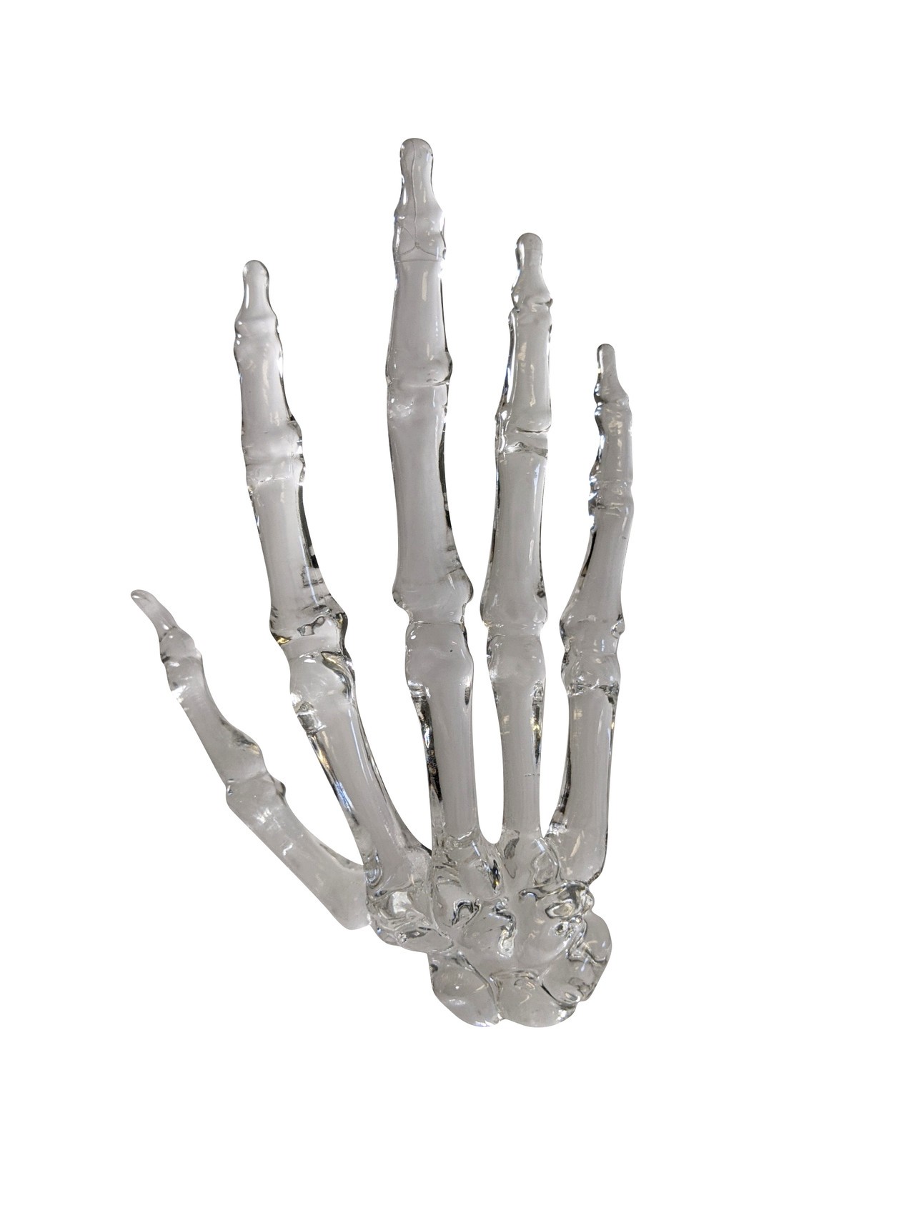FlexBone Traning Model - Full Hand with Carpals
