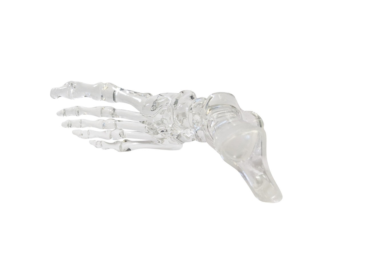 FlexBone Training Model - Full Foot with Distal, Tibia, and Fibula