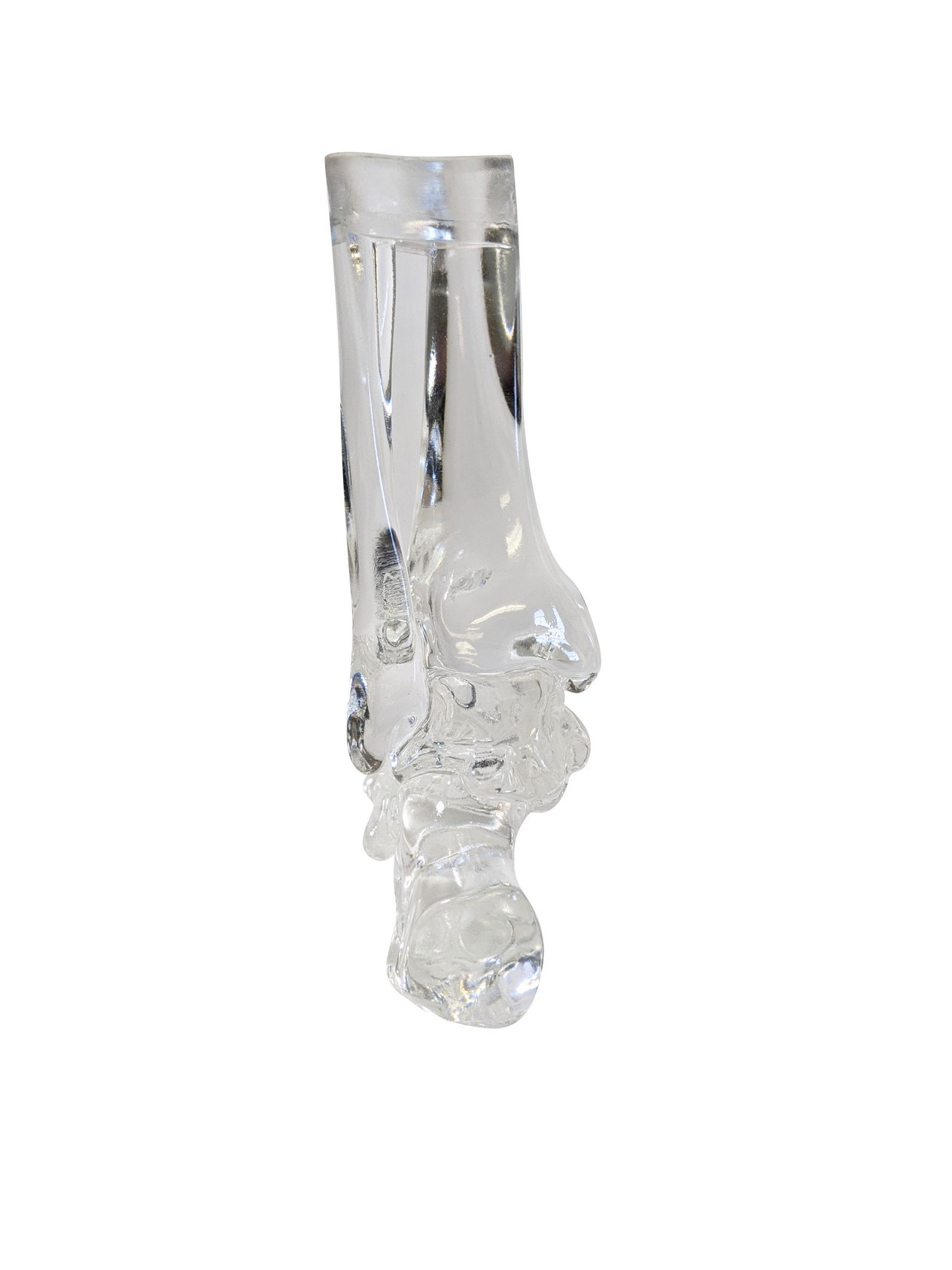 FlexBone Training Model - Full Foot with Distal, Tibia, and Fibula