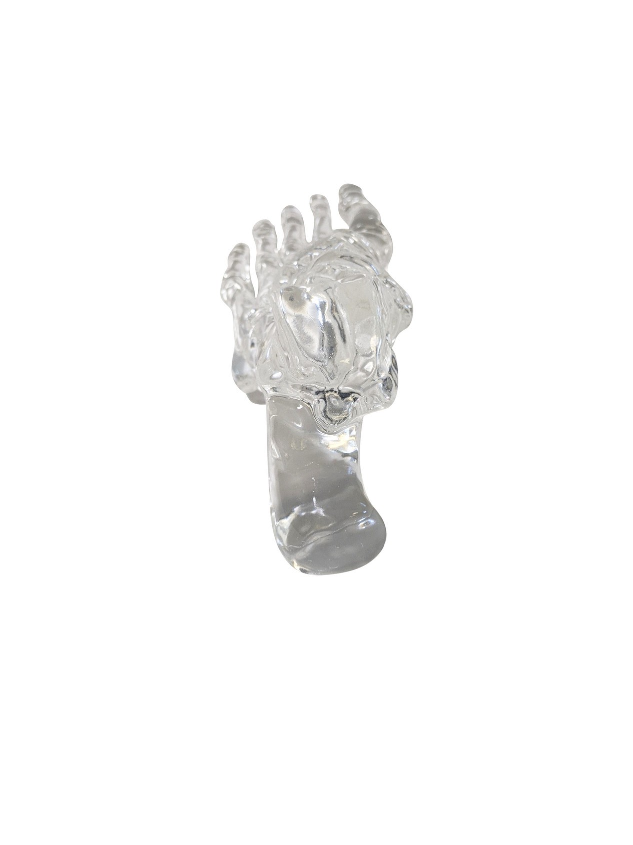 FlexBone Training Model - Full Foot
