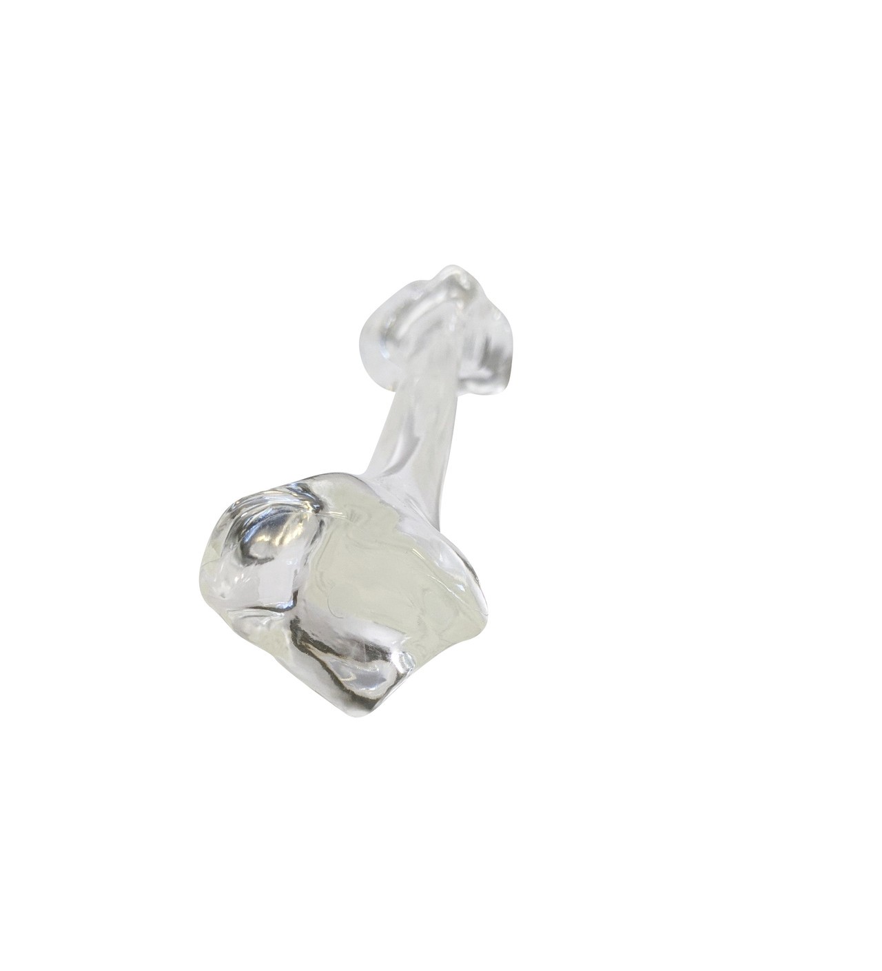 FlexBone Training Model - Tibia Bone