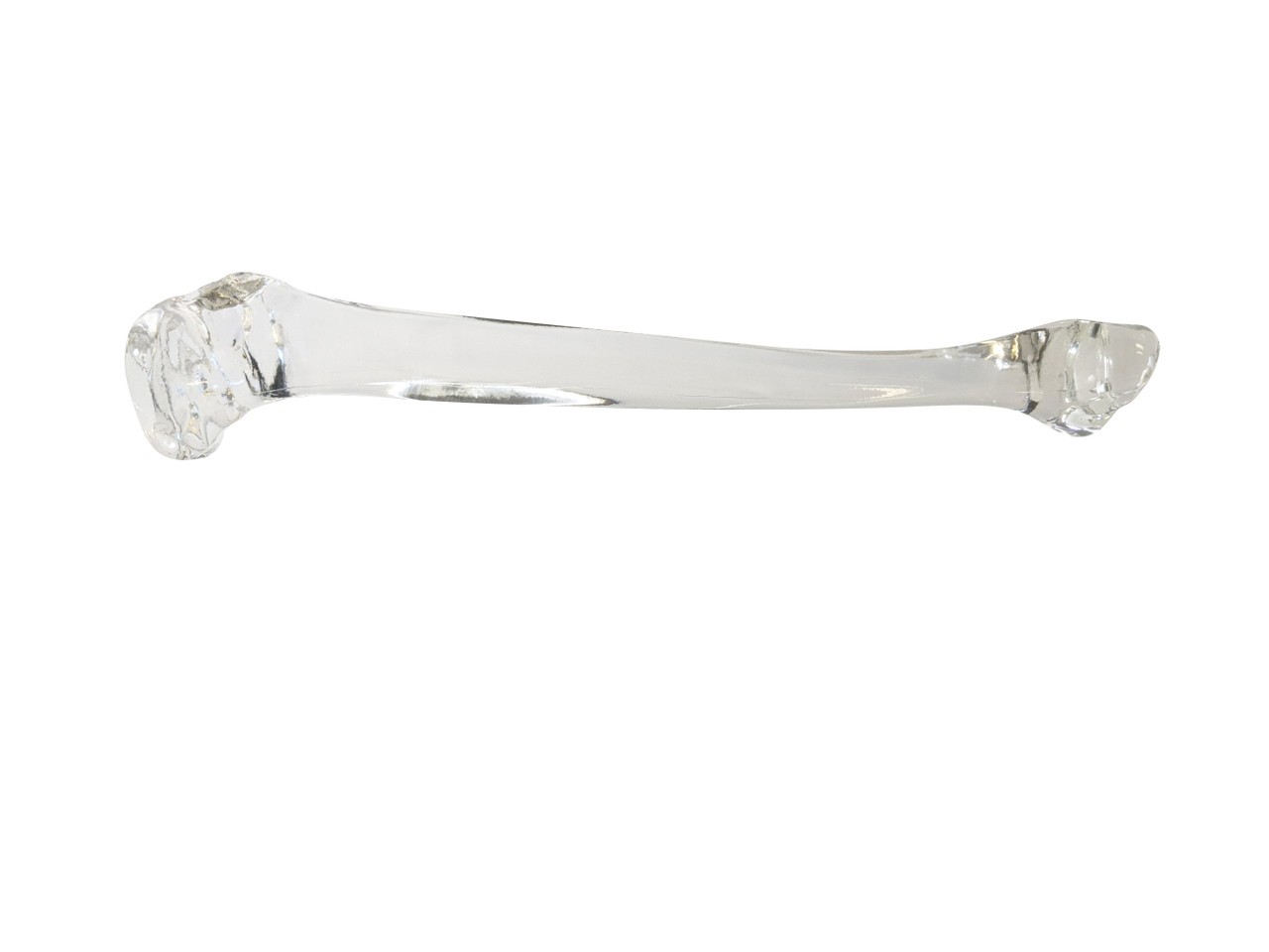 FlexBone Training Model - Tibia Bone