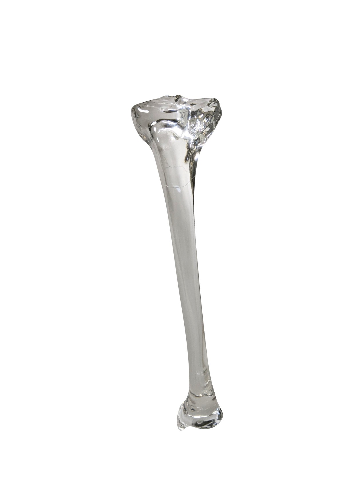 FlexBone Training Model - Tibia Bone