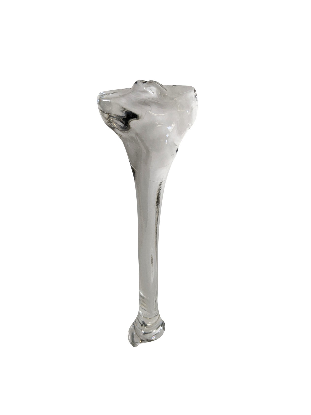 FlexBone Training Model - Tibia Bone