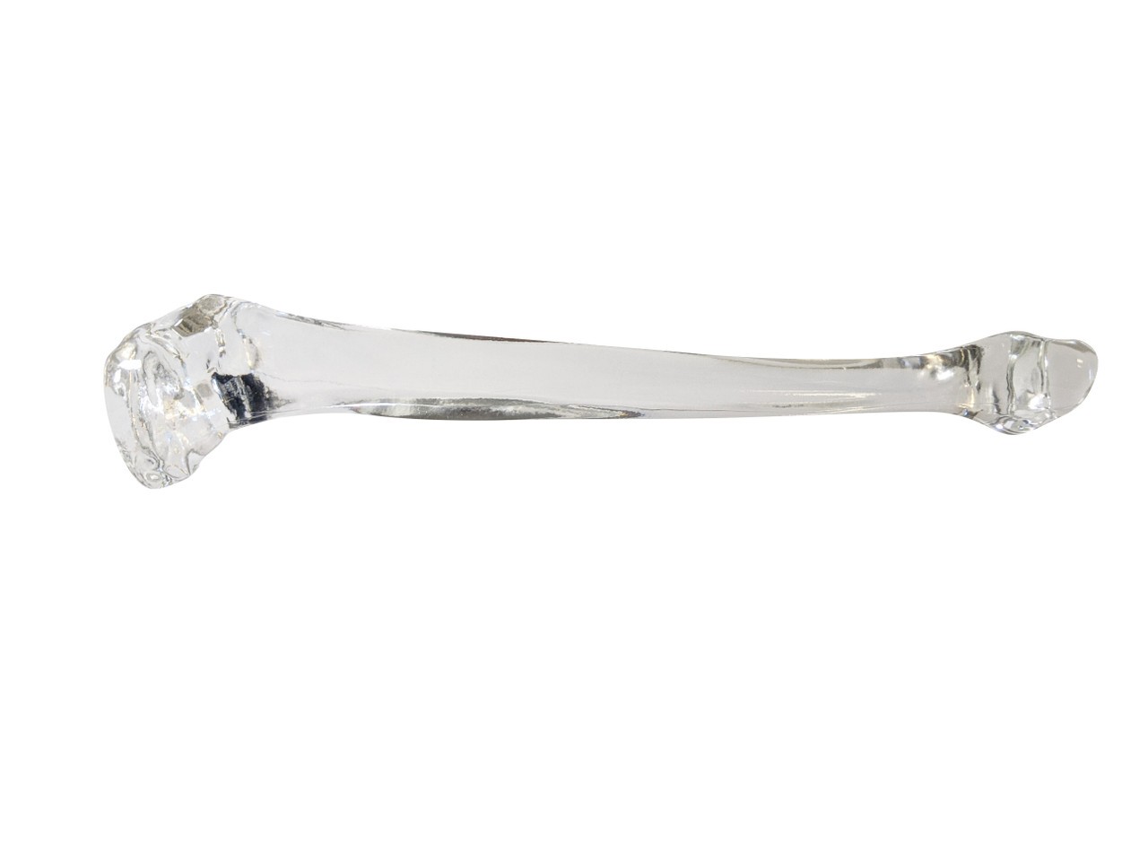 FlexBone Training Model - Tibia Bone