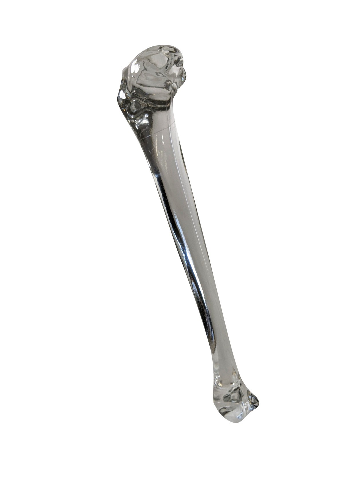 FlexBone Training Model - Tibia Bone