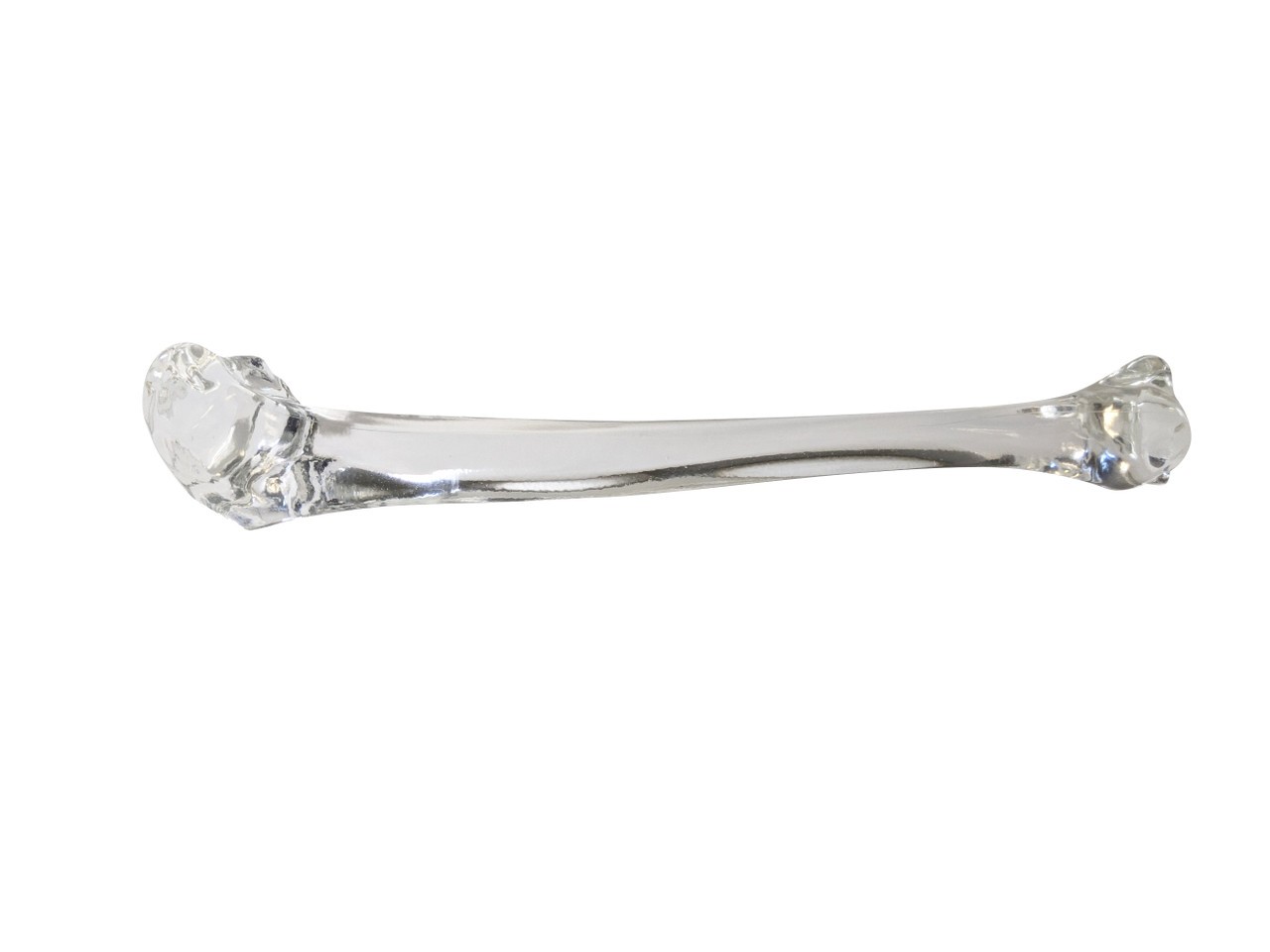FlexBone Training Model - Tibia Bone