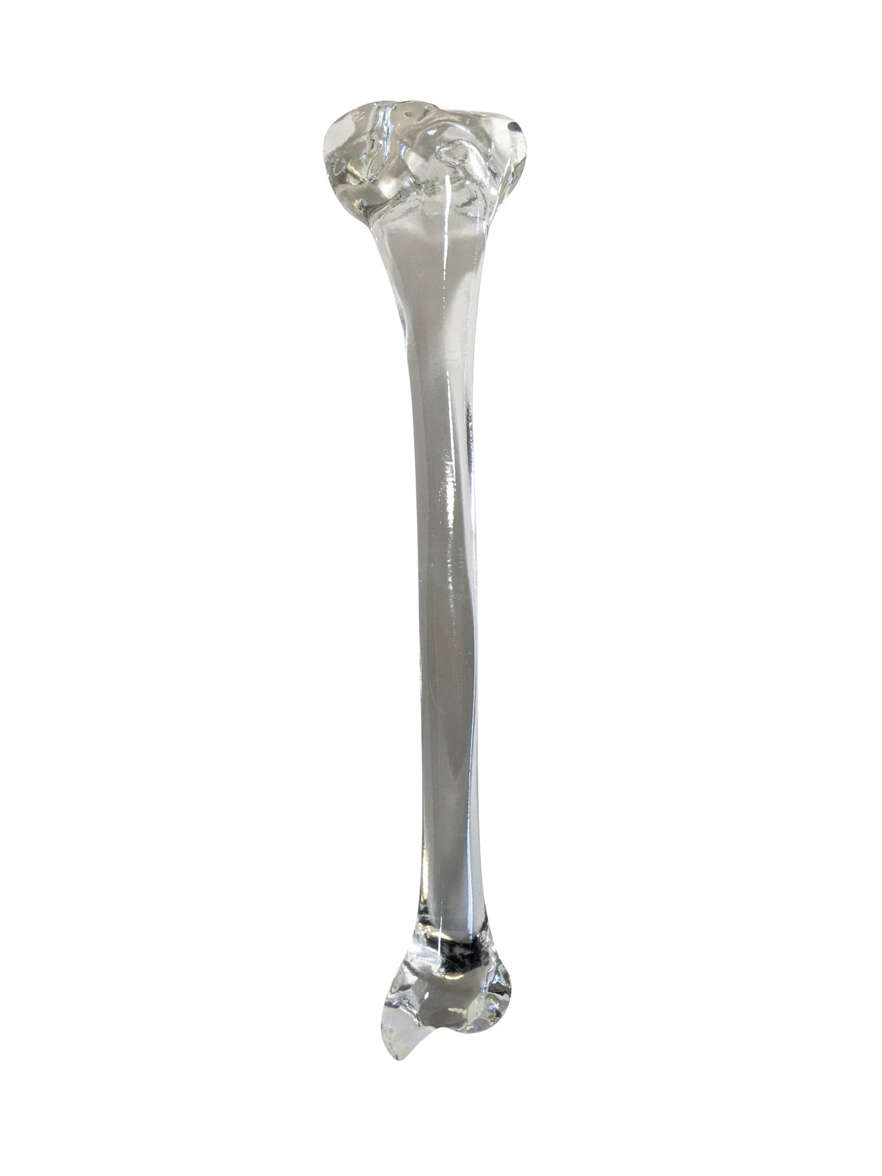 FlexBone Training Model - Tibia Bone
