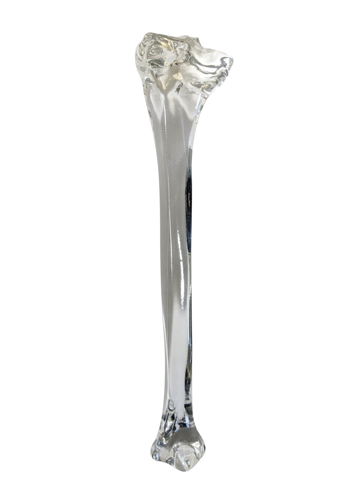 FlexBone Training Model - Tibia Bone
