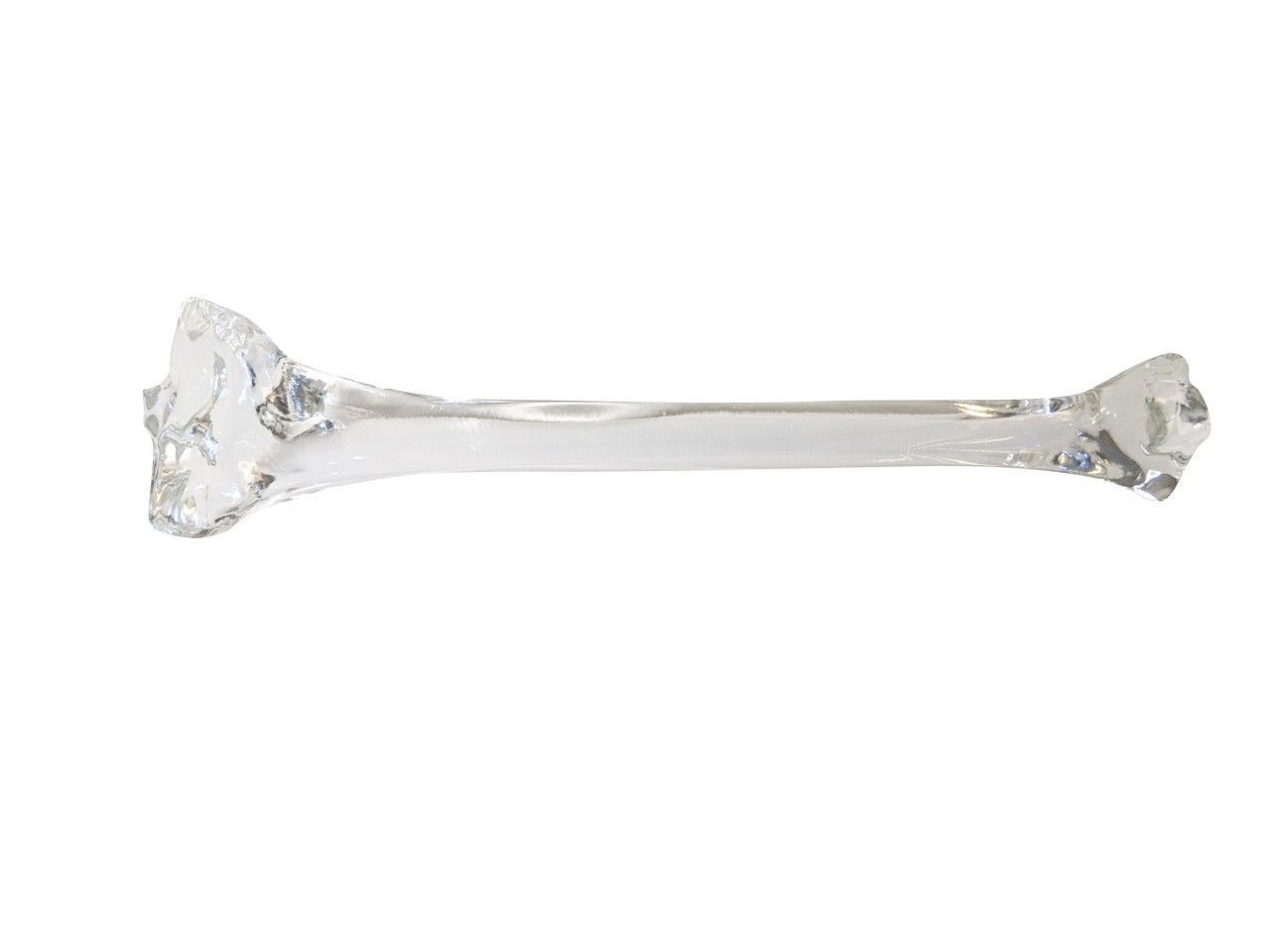 FlexBone Training Model - Tibia Bone