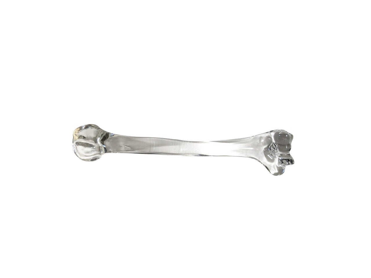 FlexBone Training Model - Humerus Bone