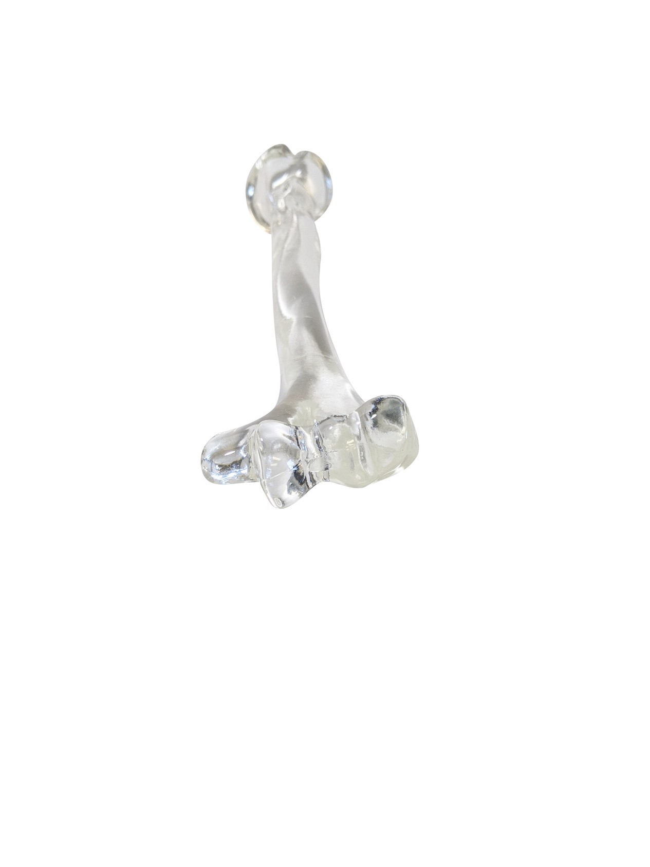 FlexBone Training Model - Humerus Bone