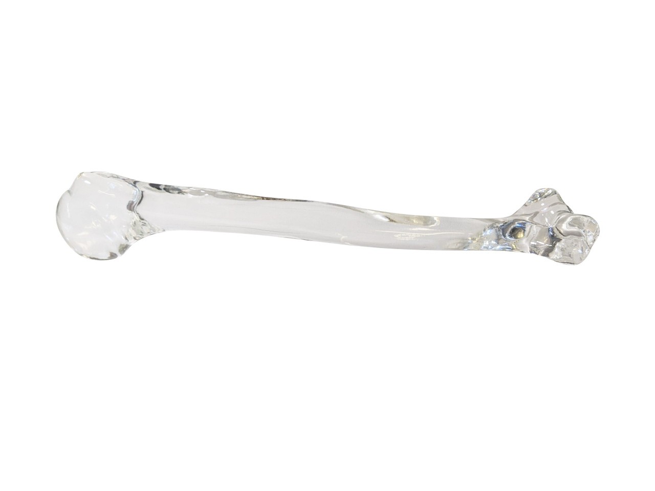 FlexBone Training Model - Humerus Bone