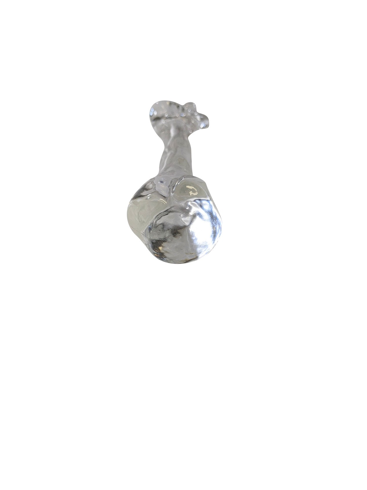 FlexBone Training Model - Humerus Bone