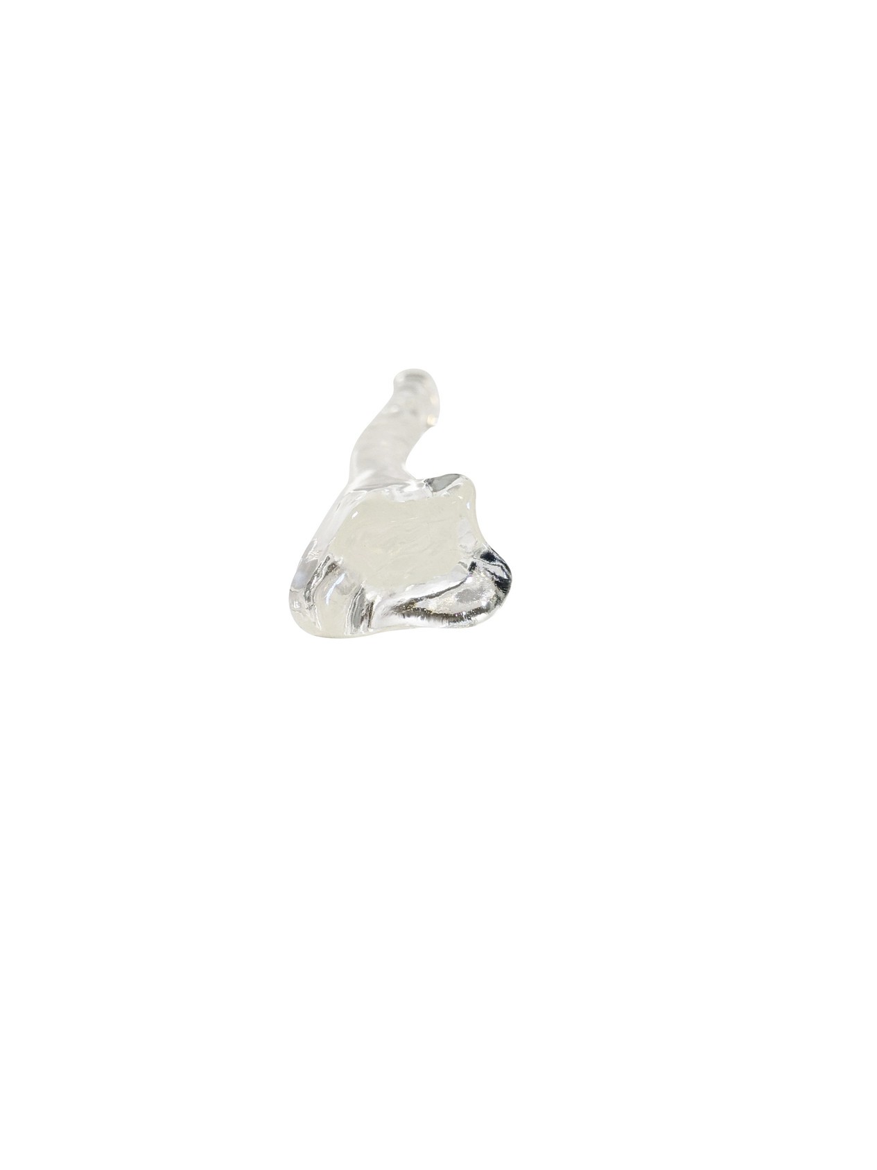 FlexBone Training Model - Ulna and Radius Bone