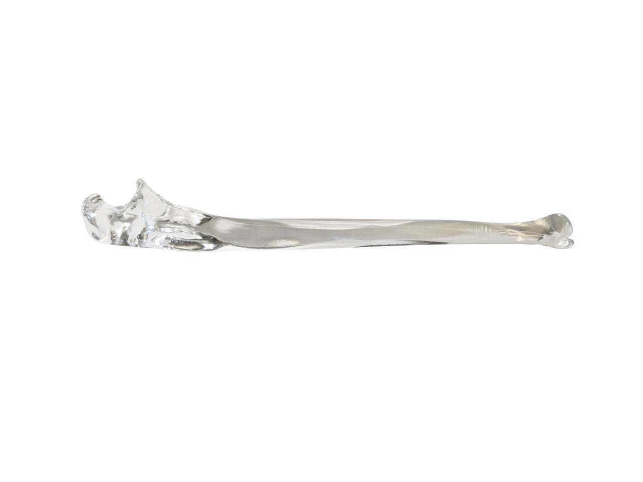 FlexBone Training Model - Ulna and Radius Bone
