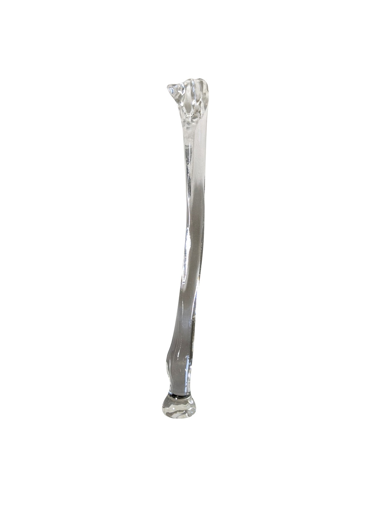 FlexBone Training Model - Ulna and Radius Bone