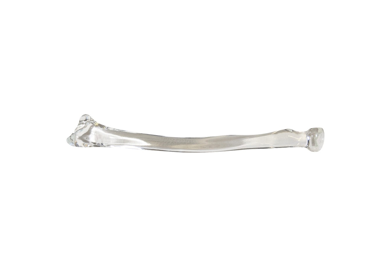 FlexBone Training Model - Ulna and Radius Bone