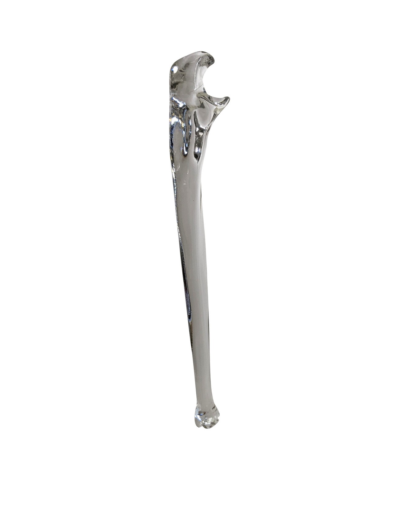 FlexBone Training Model - Ulna and Radius Bone