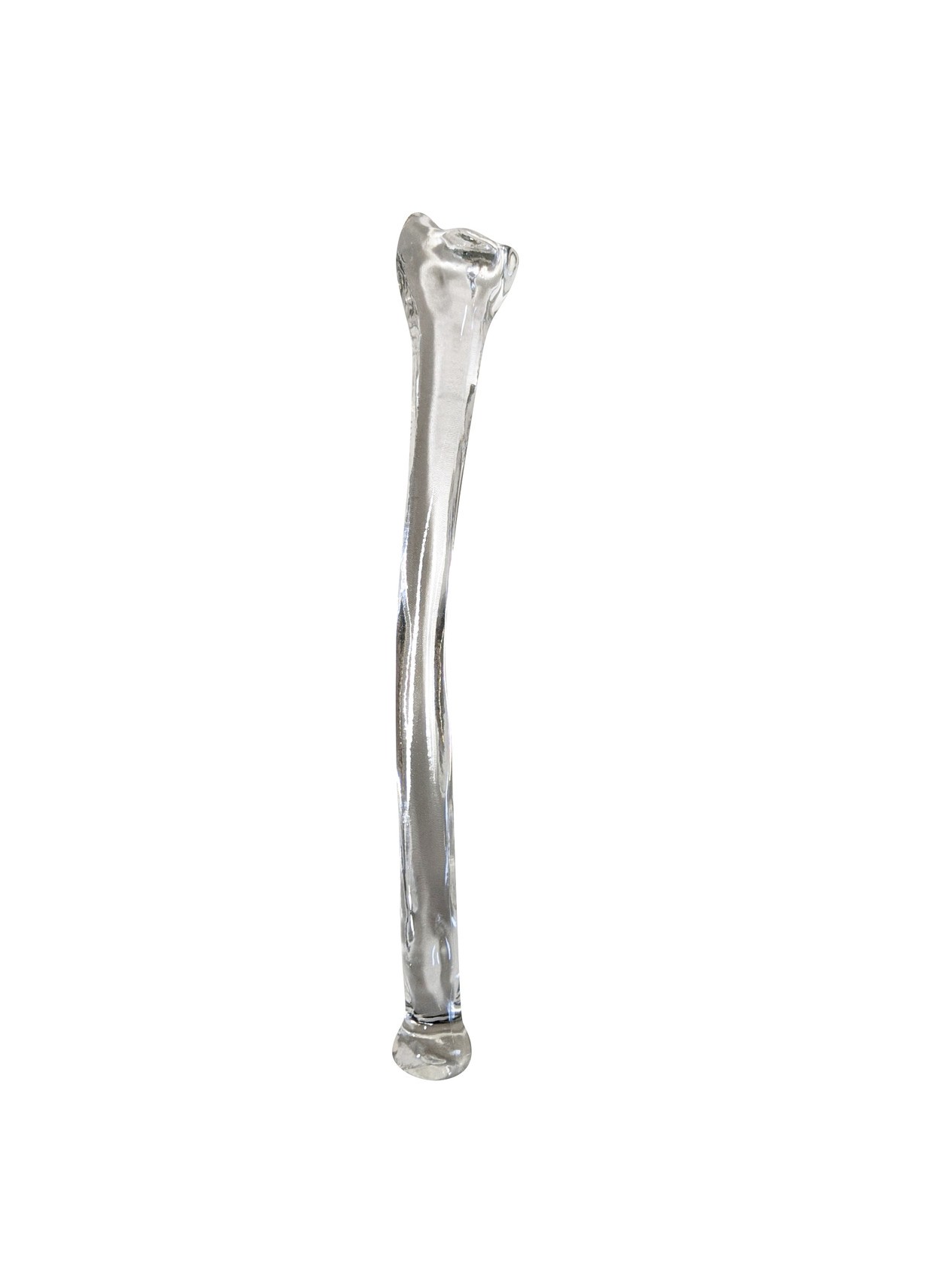 FlexBone Training Model - Ulna and Radius Bone
