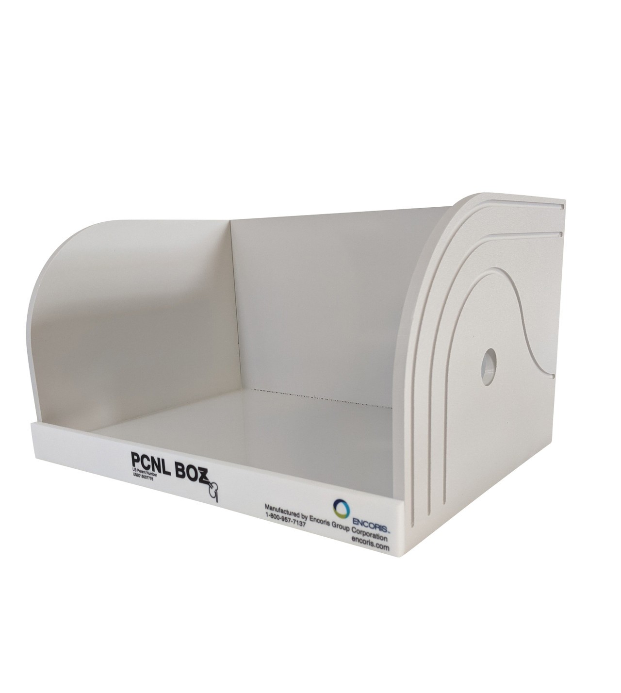 Encoris PCNL Kidney Training System Model with Case