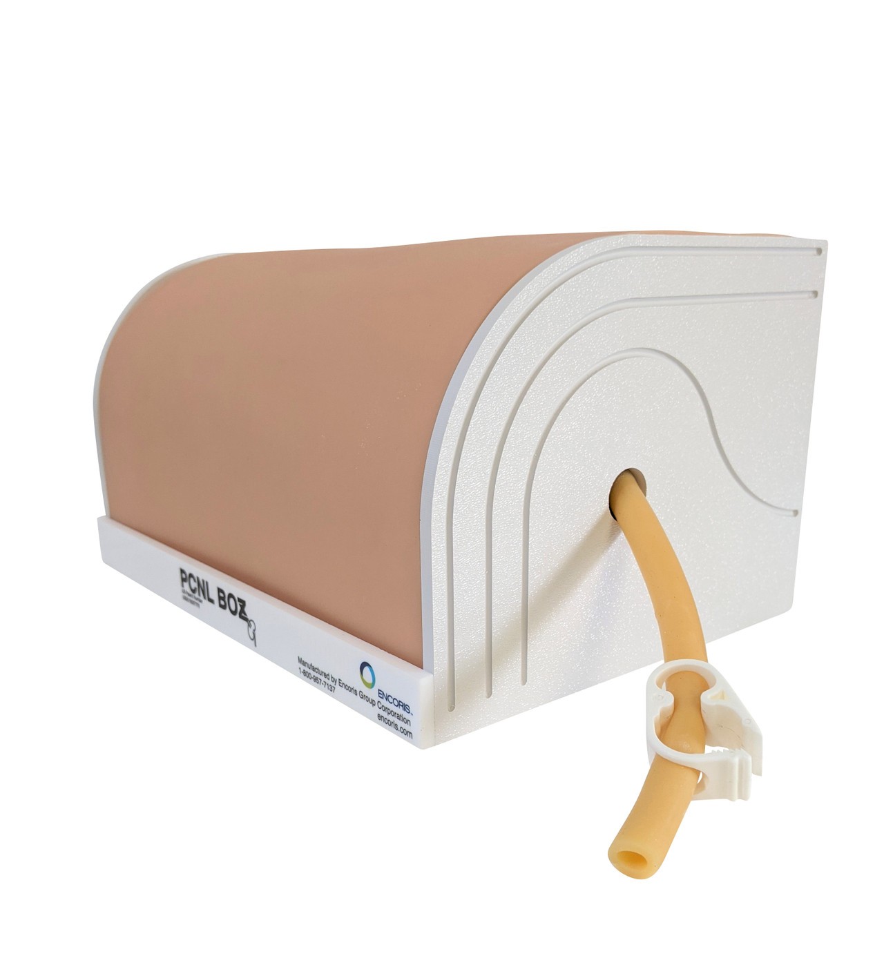 Encoris PCNL Kidney Training System Model with Case