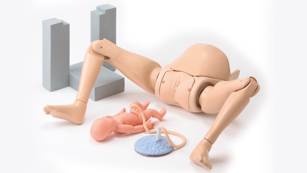 KOKEN Obstetric Assistant Model Set Type II, Hiroko