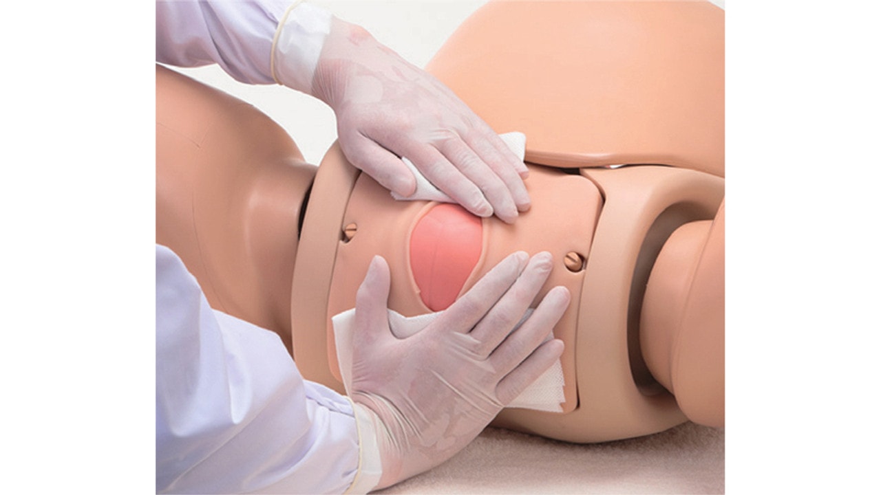 KOKEN Obstetric Assistant Model Set Type II, Hiroko