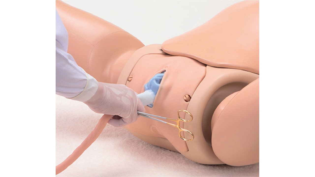 KOKEN Obstetric Assistant Model Set Type II, Hiroko