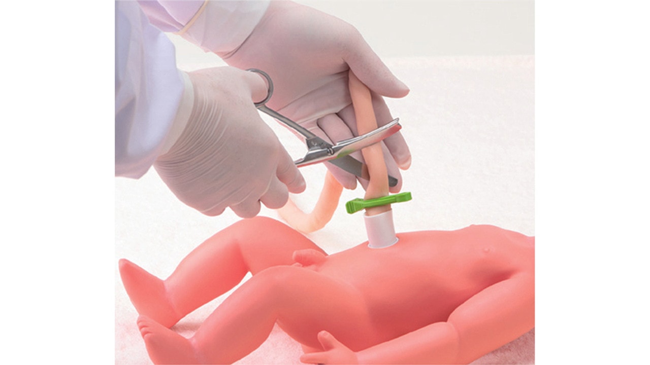 KOKEN Obstetric Assistant Model Set Type II, Hiroko