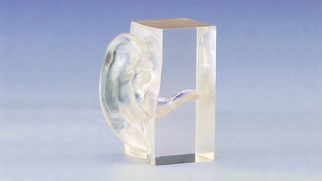 KOKEN Transparent Auricle Model