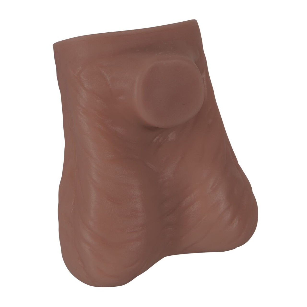 Life-Size Testicle Anatomy Model - Dark