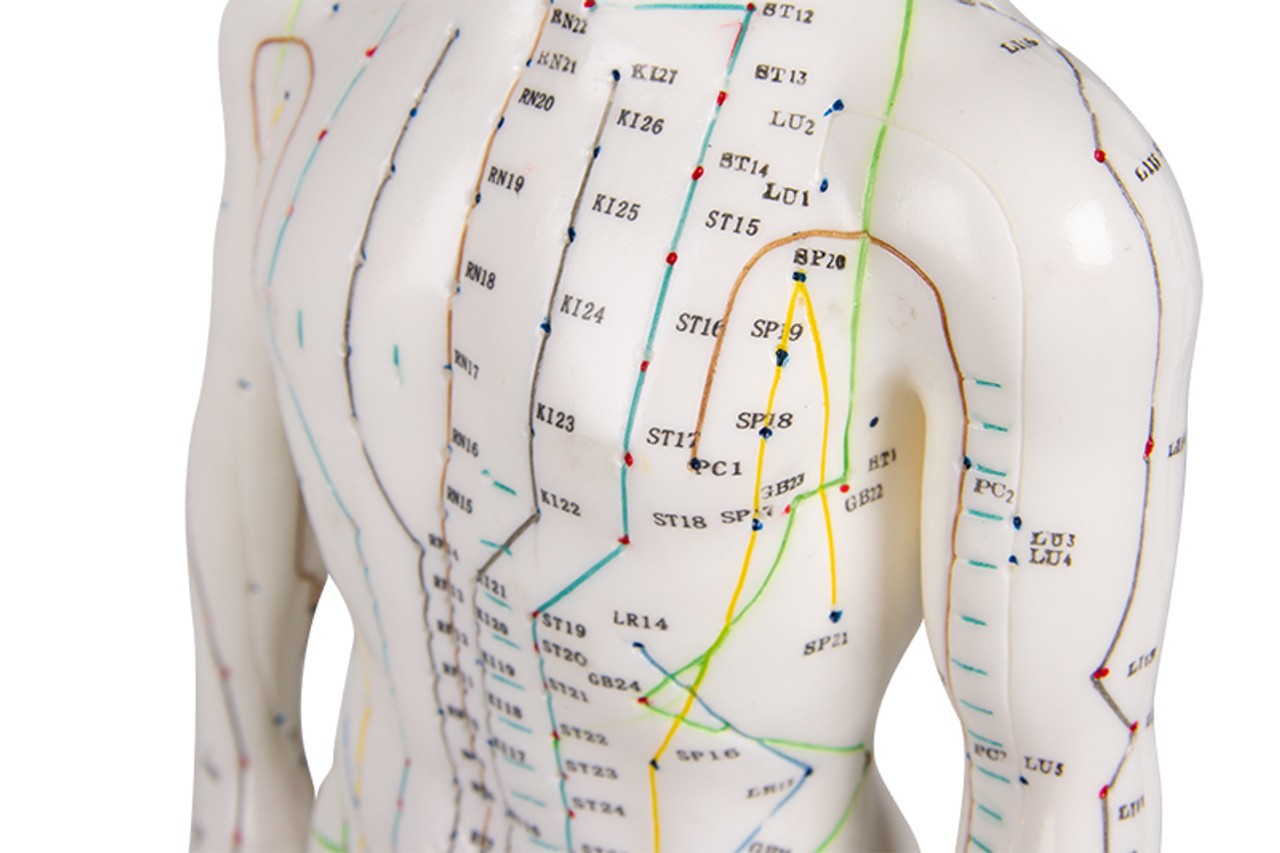 Chinese Acupuncture Figure, Male, 50 cm