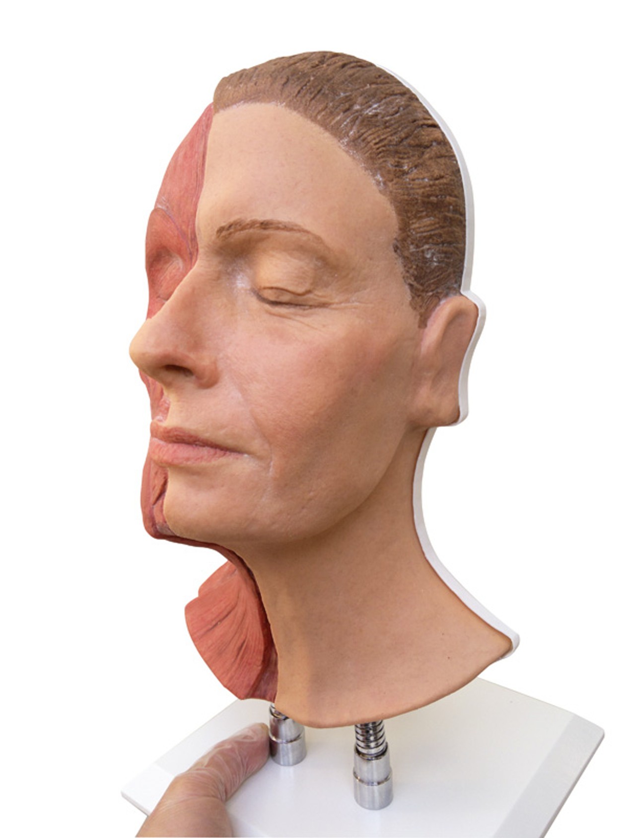 Training Head for Facial Injections - Visible Muscles and Light Skin with Feminine Features, Medium Hair