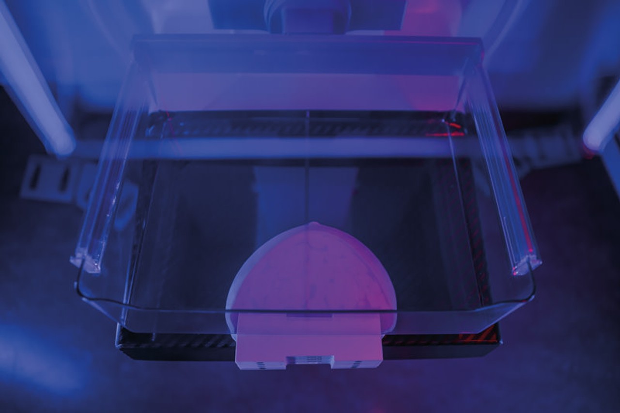 Breast Phantom for Mammography and Breast Tomosynthesis