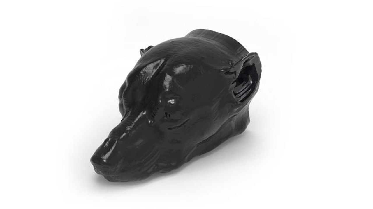 テン phantom md Erler-Zimmer Dog Head Phantom for CT and X-Ray | Anatomy