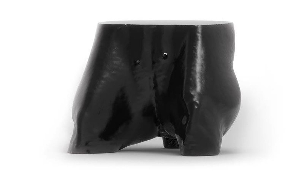 Dog Pelvis Phantom for CT and X-Ray