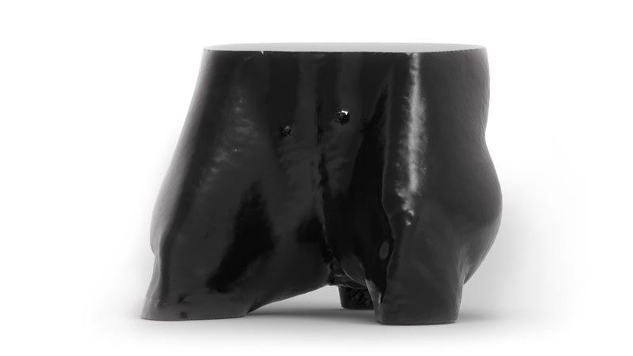 Dog Pelvis Phantom for CT and X-Ray