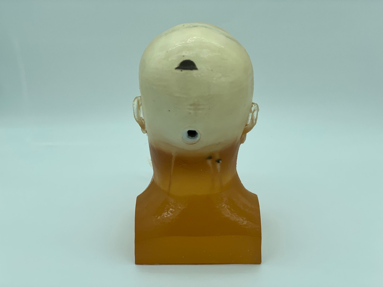 Standard Adult Head Phantom Model