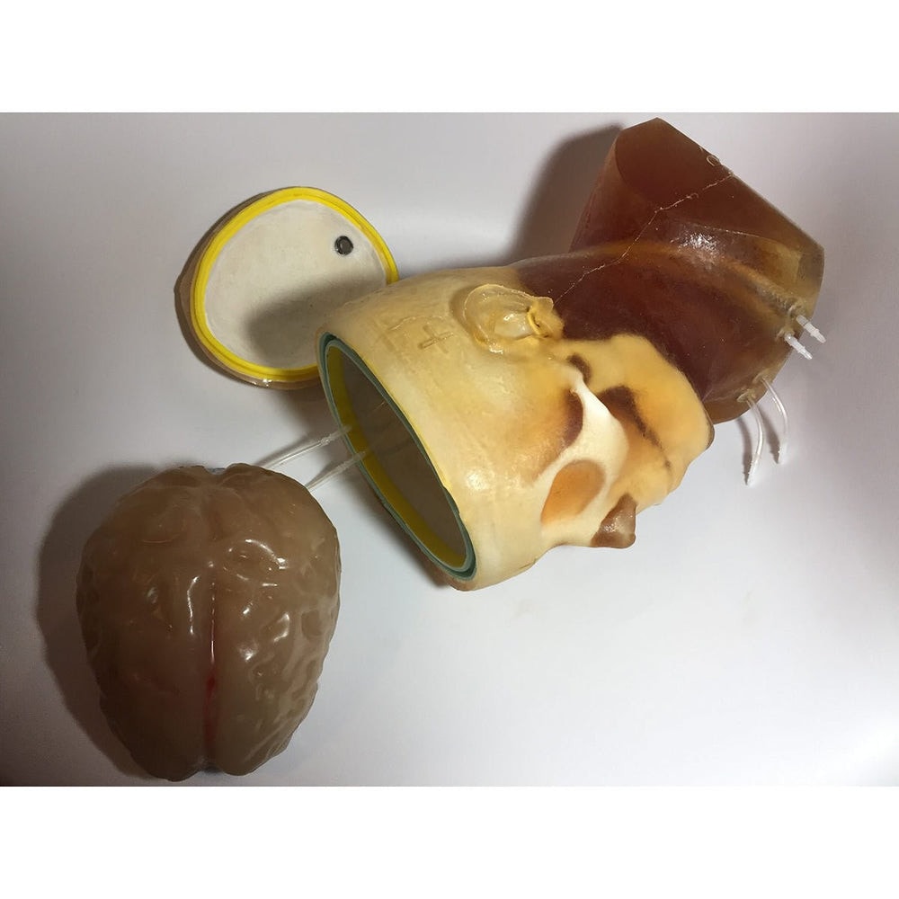 Adult Head (Openable) for X-Ray CT, US, MRI