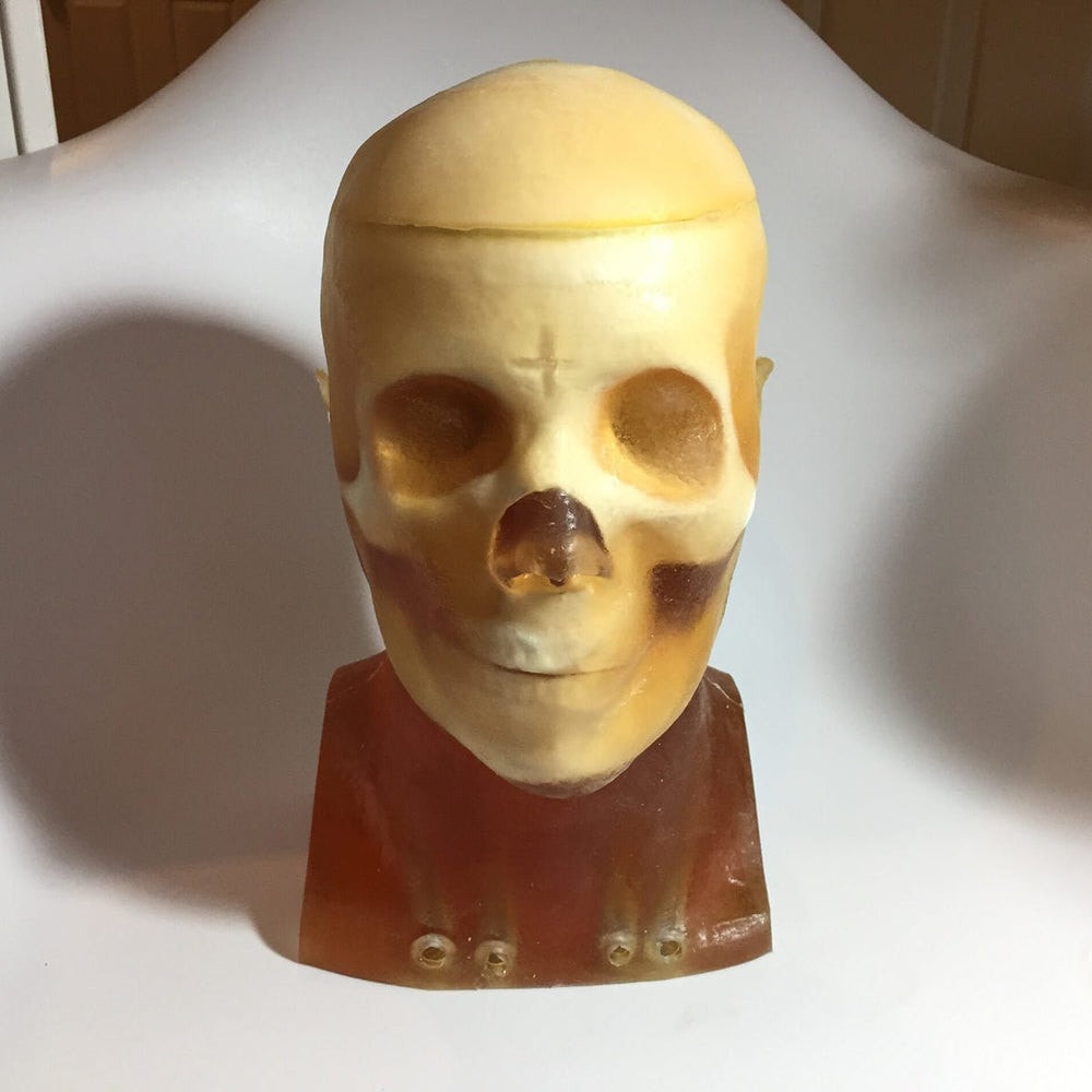 Adult Head (Openable) for X-Ray CT, US, MRI