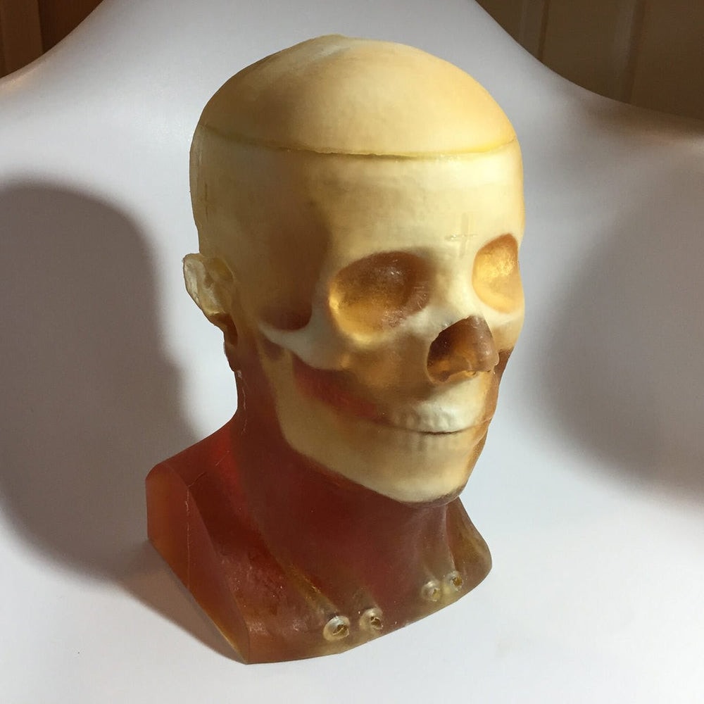 Adult Head (Openable) for X-Ray CT, US, MRI